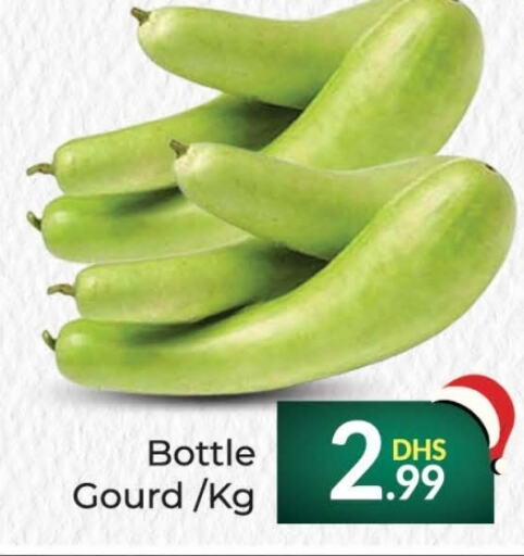  Gourd  in FOODZONE SUPERMARKET in UAE - Ras al Khaimah