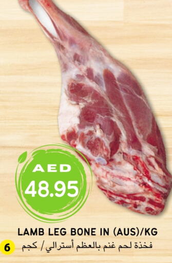  لحم الضأن / الغنم  in Select Market  in الإمارات العربية المتحدة , الامارات - أبو ظبي