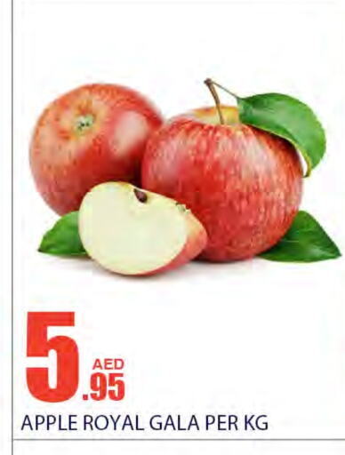  Apples  in Bismi Wholesale in UAE - Dubai