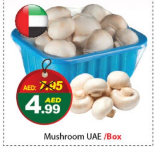  Mushroom  in DESERT FRESH MARKET  in UAE - Abu Dhabi