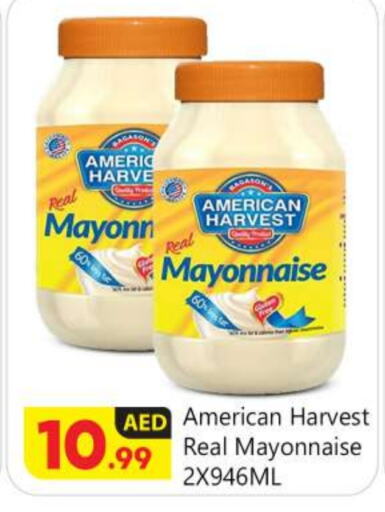 AMERICAN HARVEST Mayonnaise  in BIGmart in UAE - Abu Dhabi