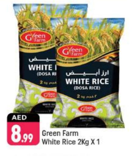  White Rice  in Shaklan  in UAE - Dubai