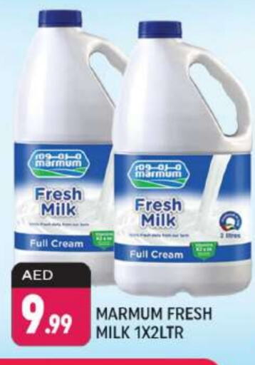 MARMUM Full Cream Milk  in Shaklan  in UAE - Dubai