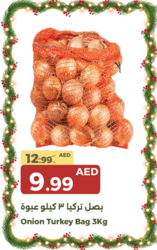  Onion  in Emirates Co-Operative Society in UAE - Dubai