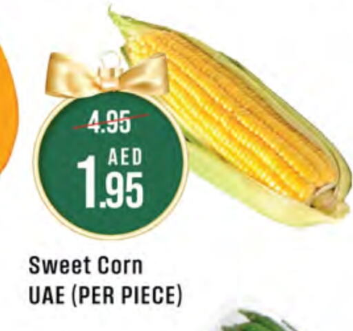  برتقال  in ويست زون سوبرماركت in الإمارات العربية المتحدة , الامارات - دبي