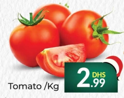  Tomato  in FOODZONE SUPERMARKET in UAE - Ras al Khaimah