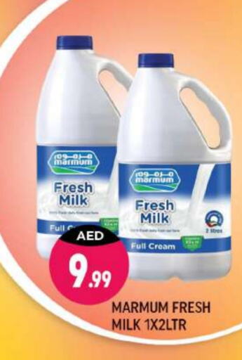 MARMUM Full Cream Milk  in Shaklan  in UAE - Dubai