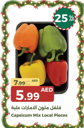  Chilli / Capsicum  in Emirates Co-Operative Society in UAE - Dubai