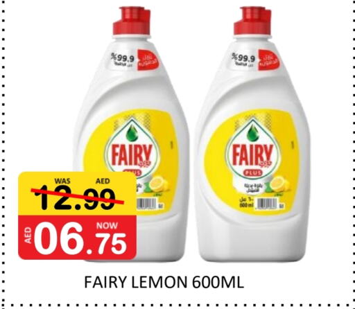 FAIRY   in ROYAL GULF HYPERMARKET LLC in UAE - Abu Dhabi