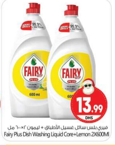 FAIRY   in BIGmart in UAE - Abu Dhabi