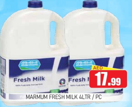 MARMUM Fresh Milk  in Ain Al Madina Hypermarket in UAE - Sharjah / Ajman