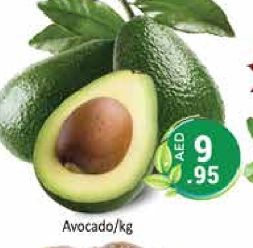  Avacado  in PASONS GROUP in UAE - Dubai