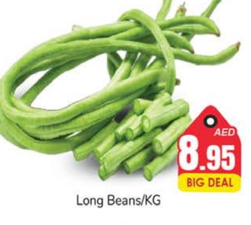  Beans  in PASONS GROUP in UAE - Fujairah