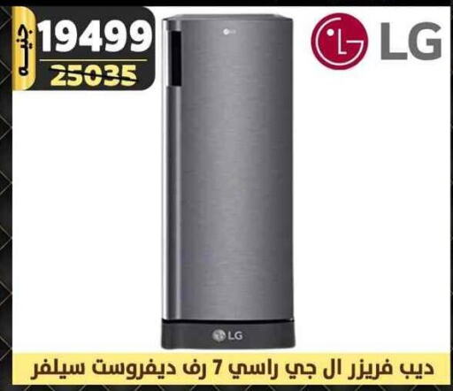 LG Refrigerator  in Shaheen Center in Egypt - Cairo