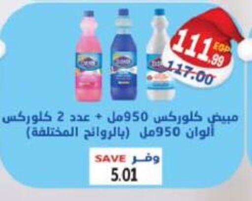 CLOROX General Cleaner  in The Mart  in Egypt - Cairo