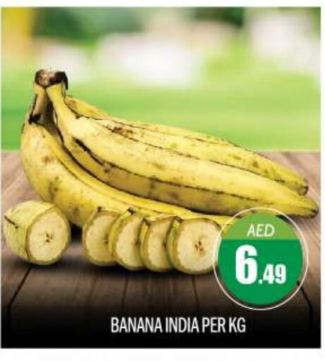  Banana  in BIGmart in UAE - Abu Dhabi