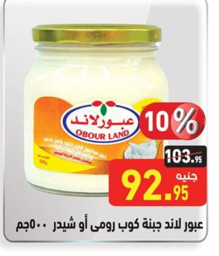  Cheddar Cheese  in Othaim Market   in Egypt - Cairo