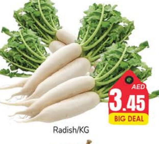  Radish  in PASONS GROUP in UAE - Fujairah