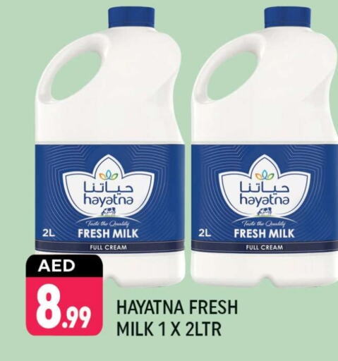 HAYATNA Full Cream Milk  in Shaklan  in UAE - Dubai