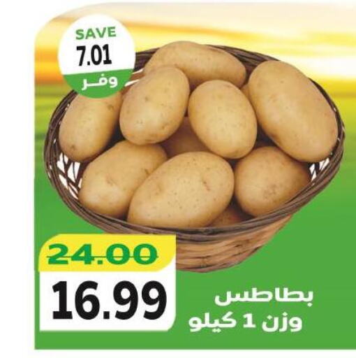  Potato  in The Mart  in Egypt - Cairo