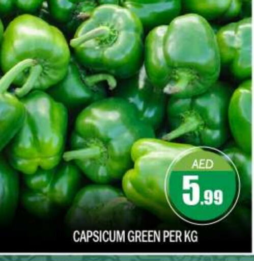  Chilli / Capsicum  in BIGmart in UAE - Dubai