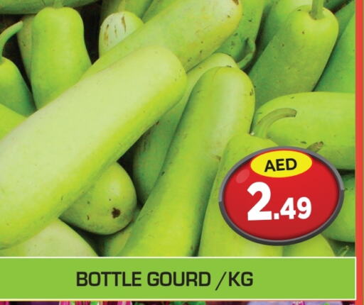  Gourd  in Baniyas Spike  in UAE - Umm al Quwain