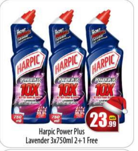 HARPIC Toilet / Drain Cleaner  in BIGmart in UAE - Abu Dhabi