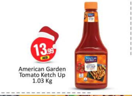 AMERICAN GARDEN Tomato Ketchup  in BIGmart in UAE - Abu Dhabi