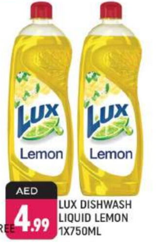 LUX   in Shaklan  in UAE - Dubai