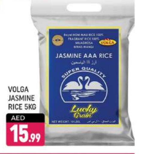 VOLGA Jasmine Rice  in Shaklan  in UAE - Dubai