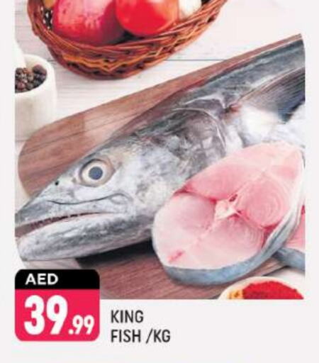  King Fish  in Shaklan  in UAE - Dubai