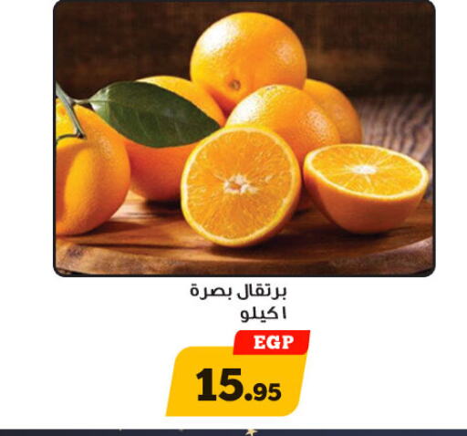  Orange  in Awlad Ragab in Egypt - Cairo