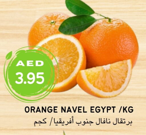  برتقال  in Select Market  in الإمارات العربية المتحدة , الامارات - أبو ظبي