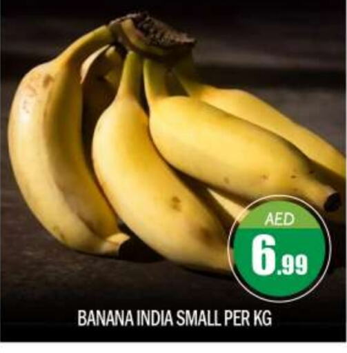  Banana  in BIGmart in UAE - Abu Dhabi