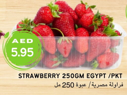    in Select Market  in الإمارات العربية المتحدة , الامارات - أبو ظبي