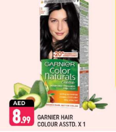 GARNIER Hair Colour  in Shaklan  in UAE - Dubai