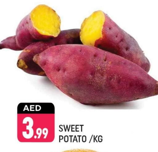  Sweet Potato  in Shaklan  in UAE - Dubai