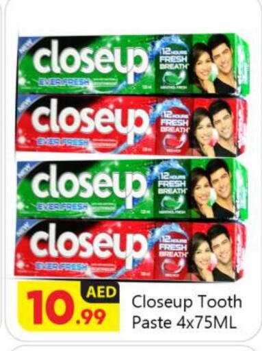 CLOSE UP Toothpaste  in BIGmart in UAE - Abu Dhabi