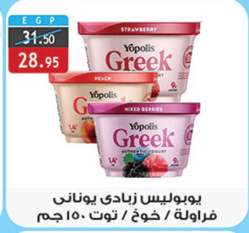  Greek Yoghurt  in Al Rayah Market   in Egypt - Cairo