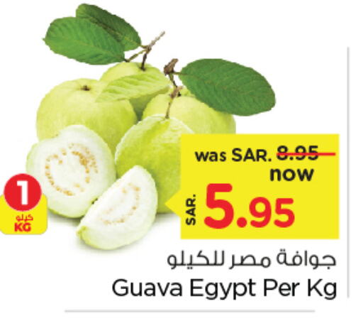  Guava  in Nesto in KSA, Saudi Arabia, Saudi - Al Hasa