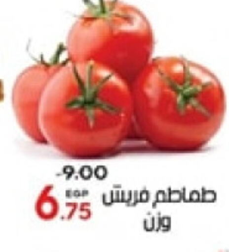  Tomato  in Galhom Market in Egypt - Cairo