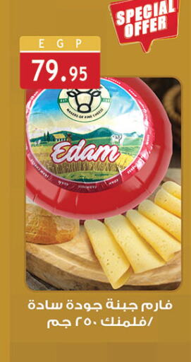 Gouda available at Al Rayah Market   in Egypt - Cairo