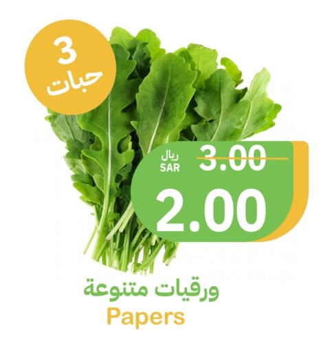    in أسواق قاطبة in مملكة العربية السعودية, السعودية, سعودية - بريدة