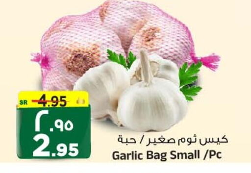  Garlic  in Al Madina Hypermarket in KSA, Saudi Arabia, Saudi - Riyadh