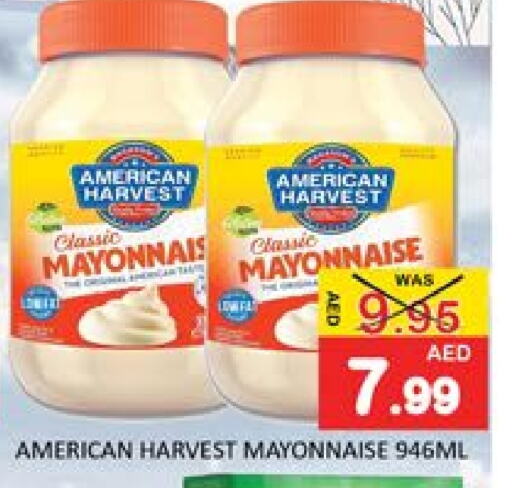  Mayonnaise  in Al Madina  in UAE - Dubai