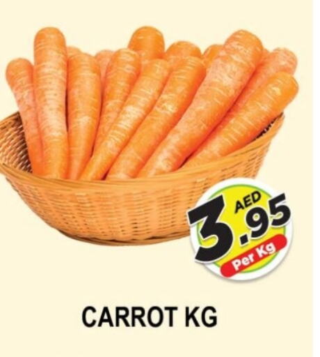  Carrot  in AL MADINA (Dubai) in UAE - Dubai