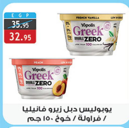  Greek Yoghurt  in Al Rayah Market   in Egypt - Cairo