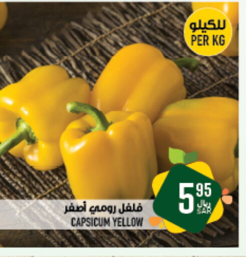  Chilli / Capsicum  in Abraj Hypermarket in KSA, Saudi Arabia, Saudi - Mecca