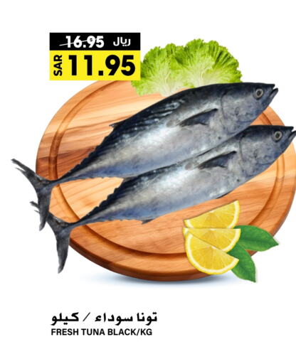  Tuna  in Grand Hyper in KSA, Saudi Arabia, Saudi - Riyadh