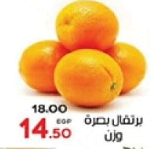 برتقال available at جلهوم ماركت in Egypt - القاهرة